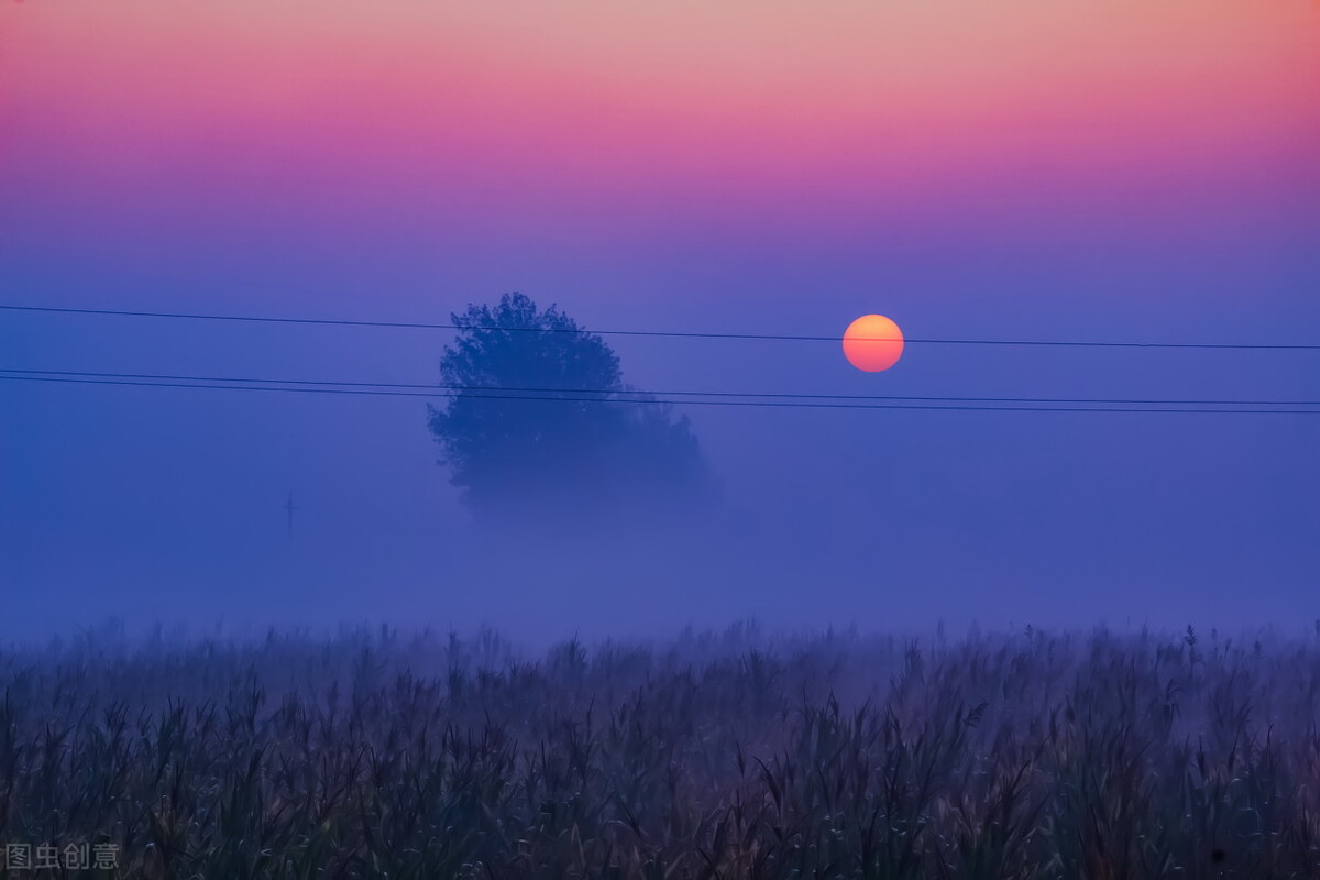 小便黄睾丸潮湿吃什么药,肝郁湿热下注尿浑浊