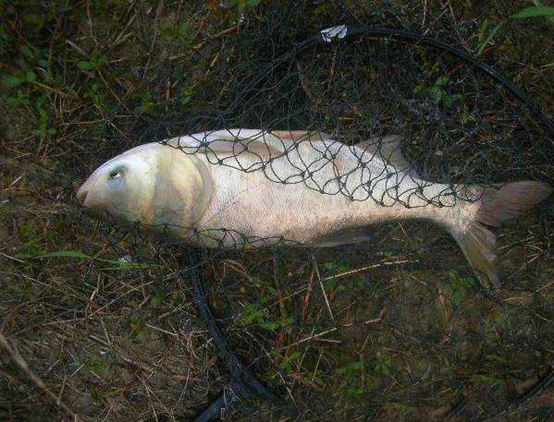 珠珠钓法适合在什么季节钓效果好,珠珠钓法适合哪些水域