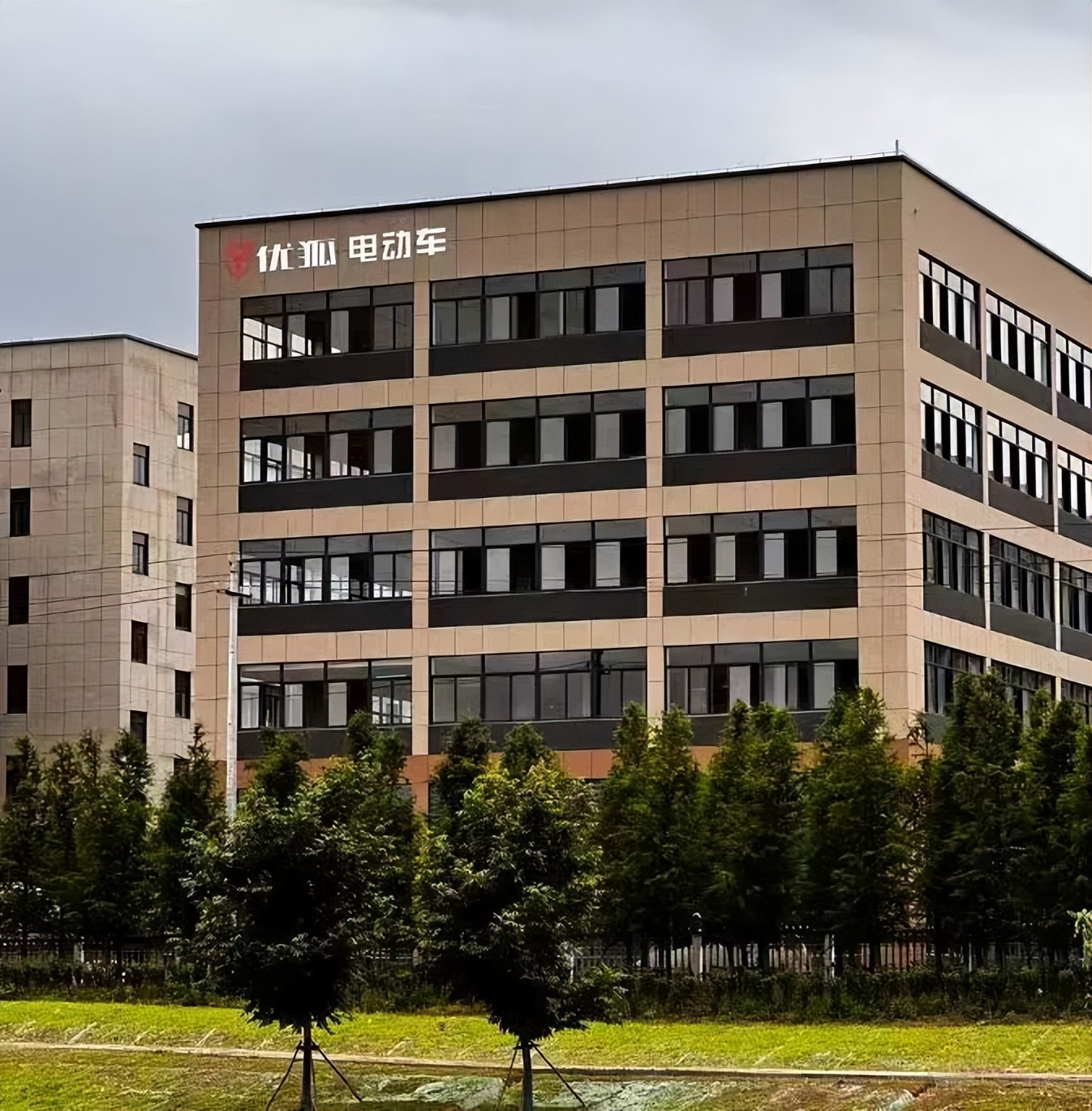 进阶突破后的优狐，砥砺奋进再出发