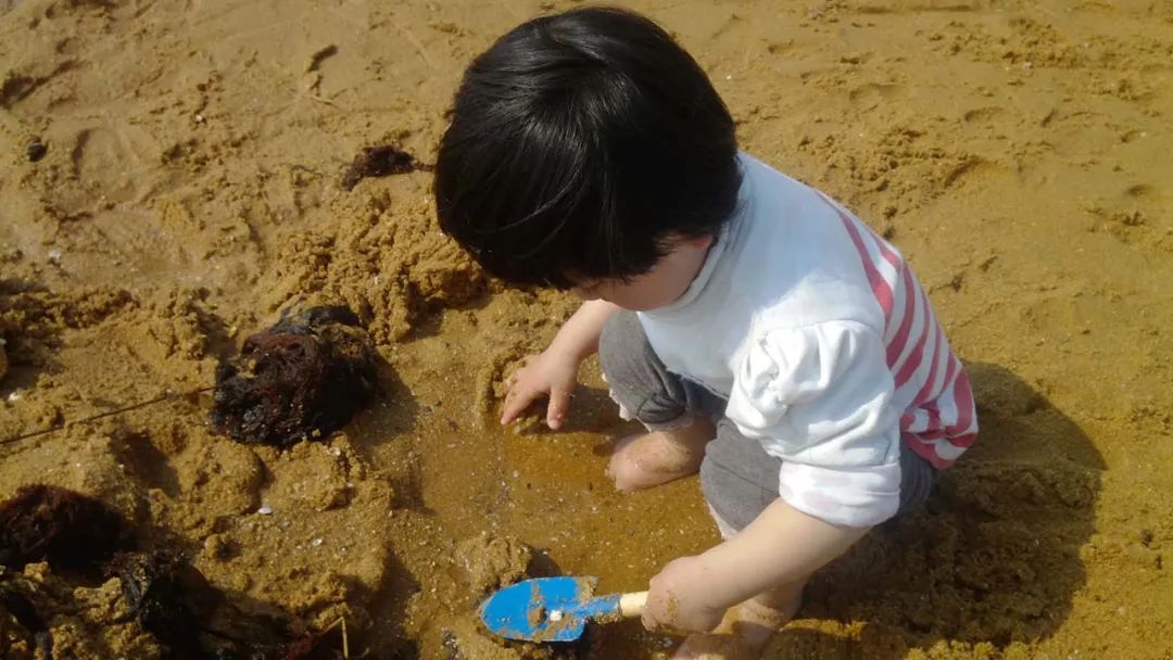 春天的第一场露营怎么策划,春天的第一场露营安排起来