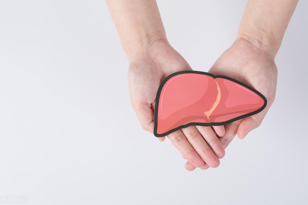 肾不好肺不好肝不好怎么调理,肝不好屁多肾不好