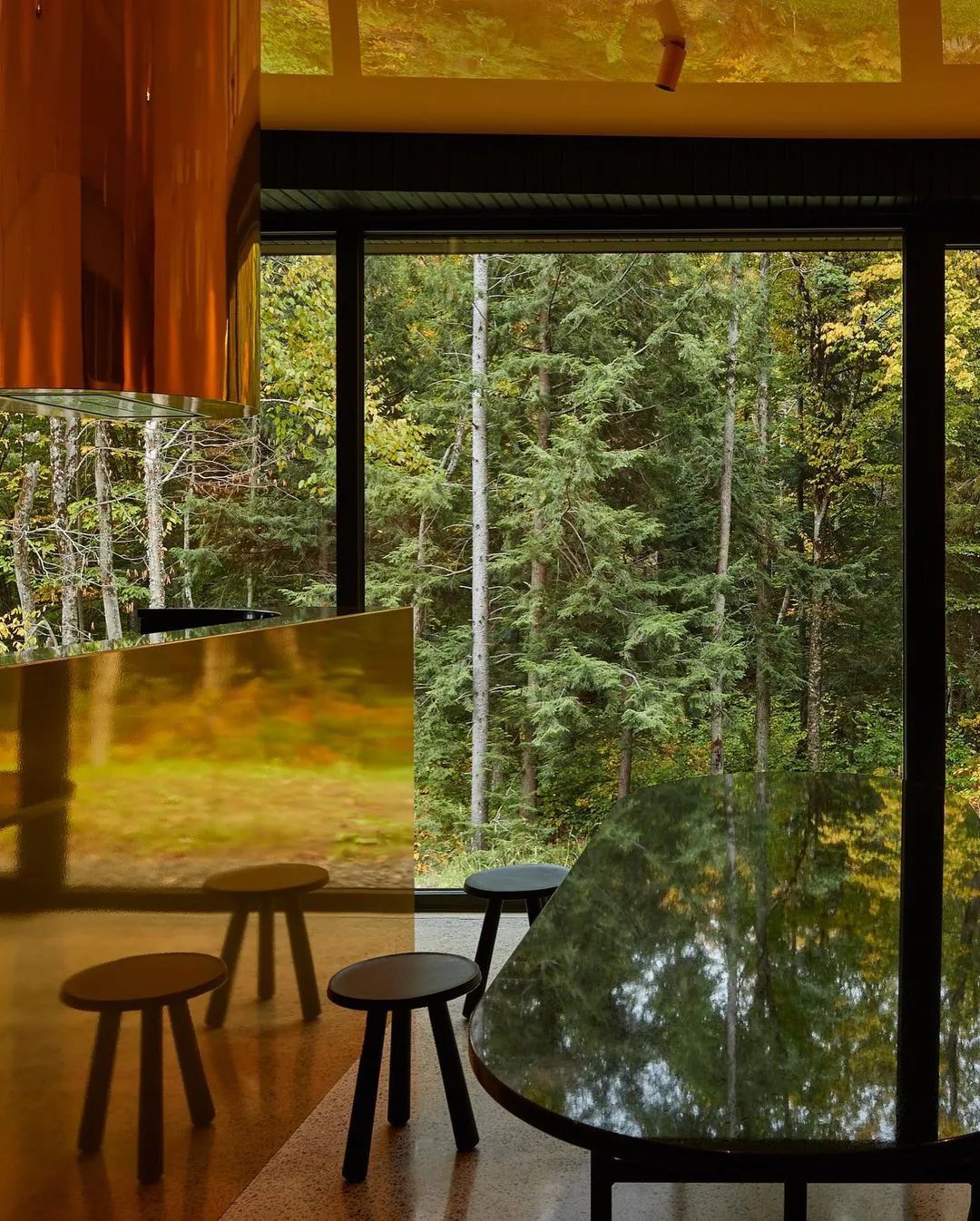 他们把家搬到了森林里，一间森林