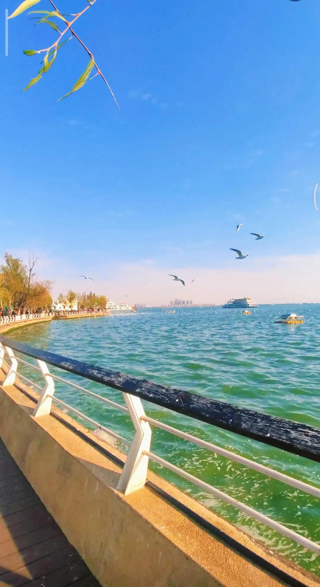 大美云南风景区,昆明海埂花园