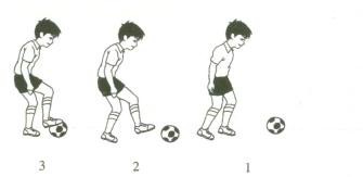 小学音乐面试试讲视频,音乐面试10分钟试讲