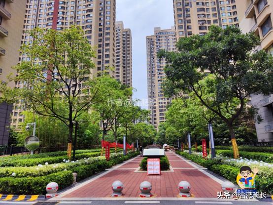 滨湖万科蓝山公区,滨湖万科蓝山容积率