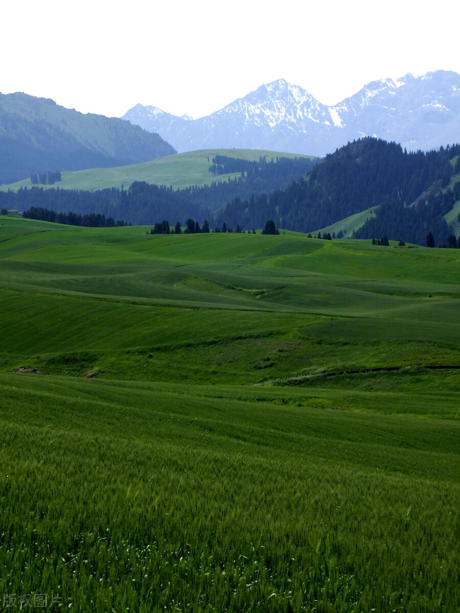 清平乐村居视频赏析,清平乐村居古诗诗意简短