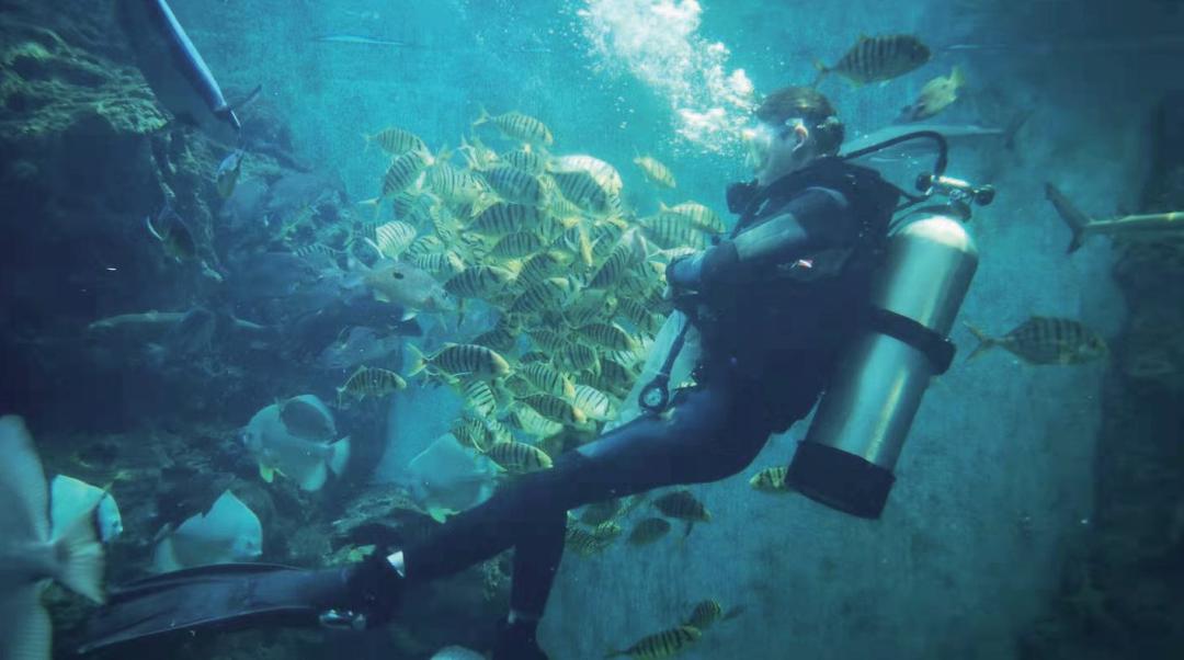 【福建见·闽山闽水物华新】周末“趣”游|乘着夏日的风向海出发，邂逅诗意厦门