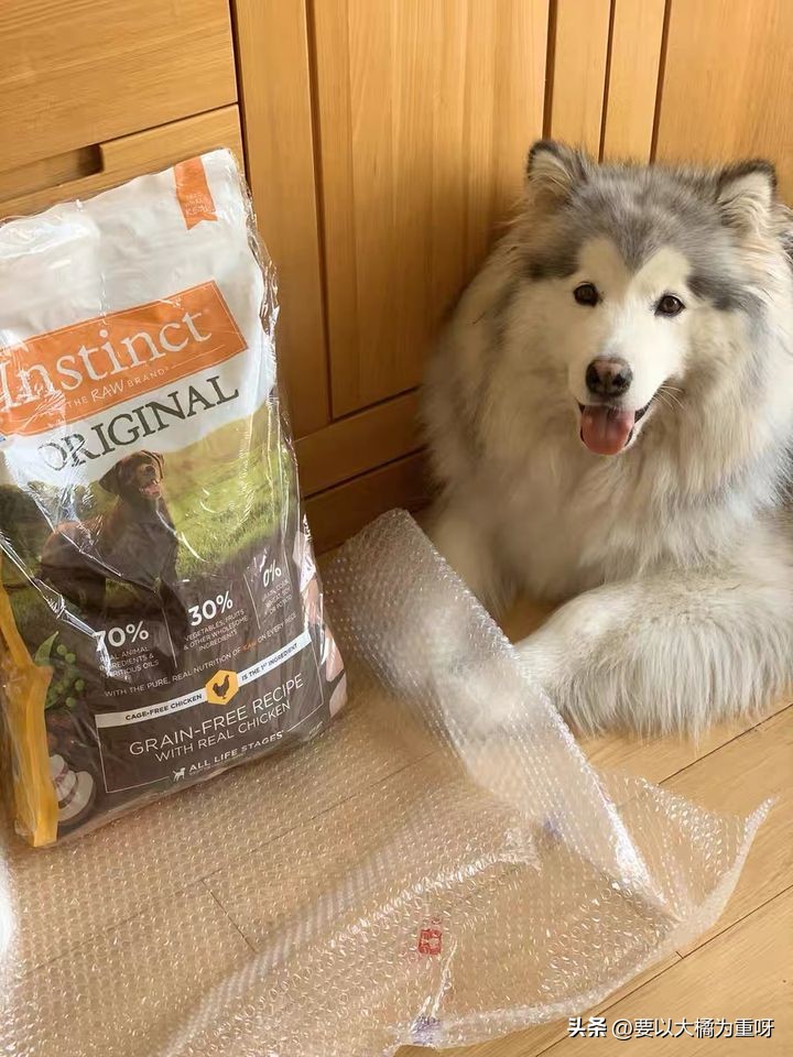 狗粮推荐哪个牌子比较好,哪个牌子的狗粮最好最安全健康