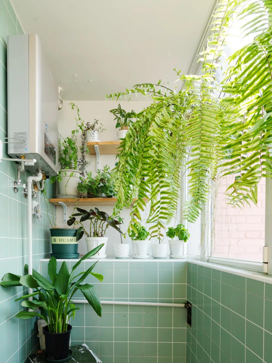 北京夫妻48平方小户型6万改造,小户型房屋高级装修