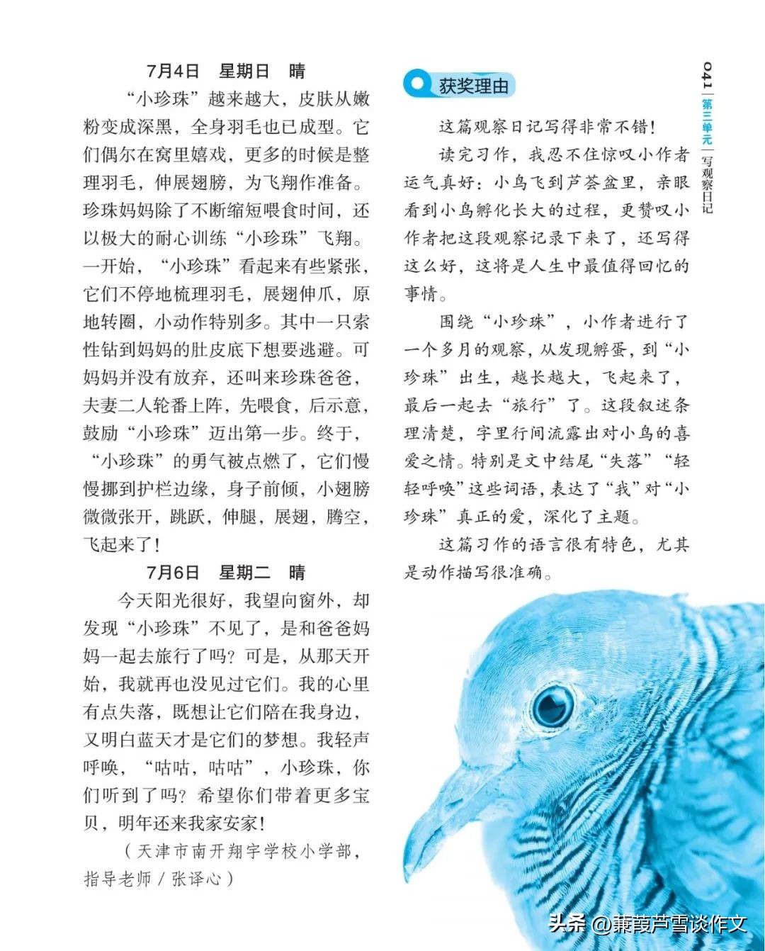 期末复习初中语文作文,期末复习作文600字初一