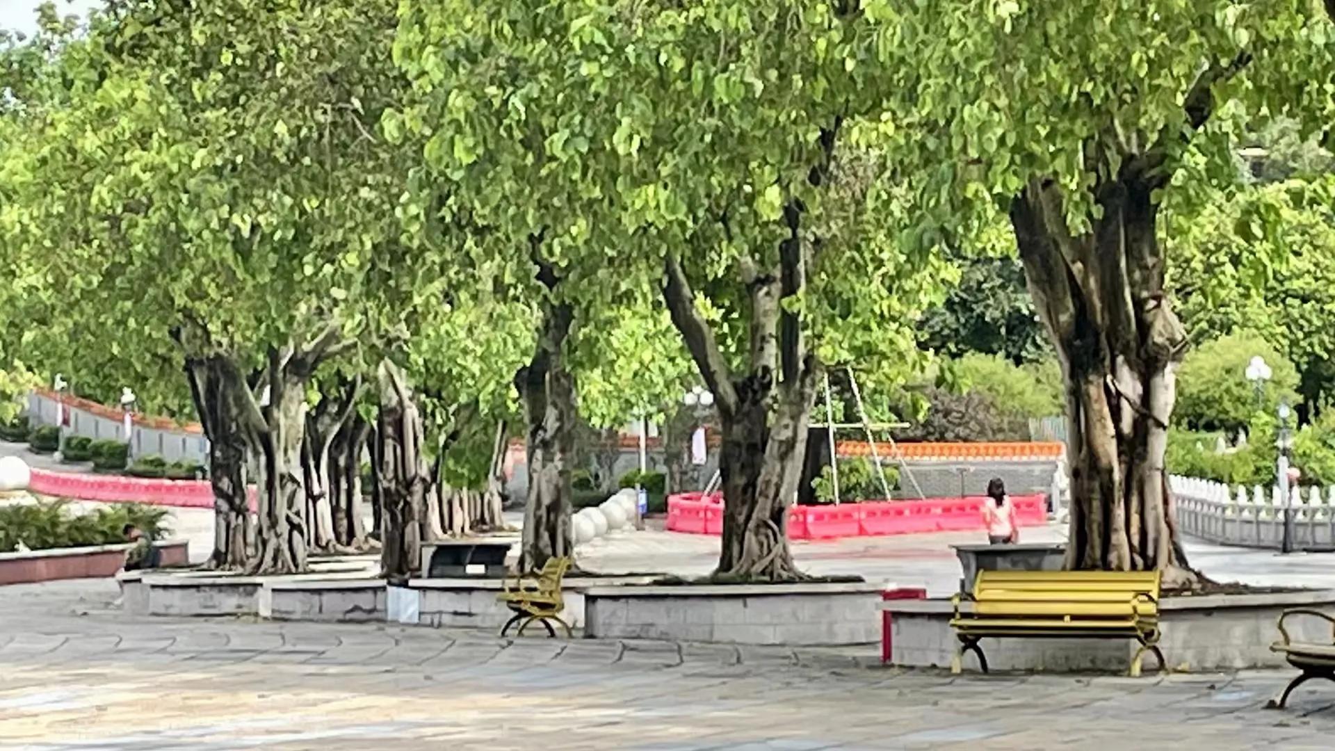 柔光罩雨后摄影,雨后初晴滤镜