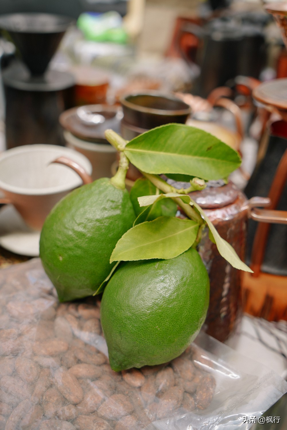 北京初夏，去好玩的市集，结识有趣的灵魂，1万种咖啡+伍德吃托克