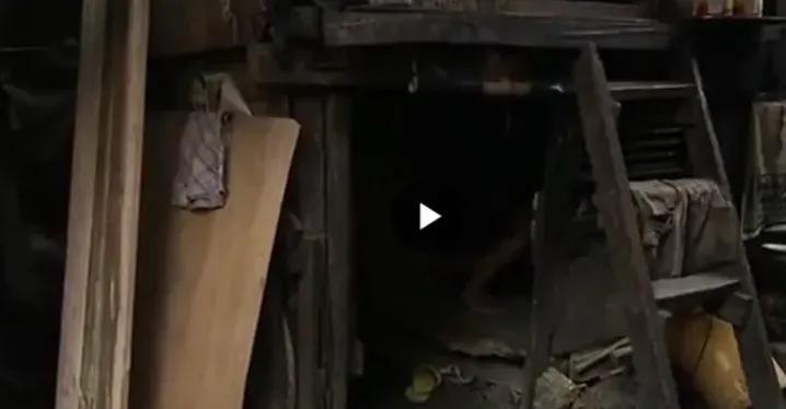 揭秘菲律宾器官工厂