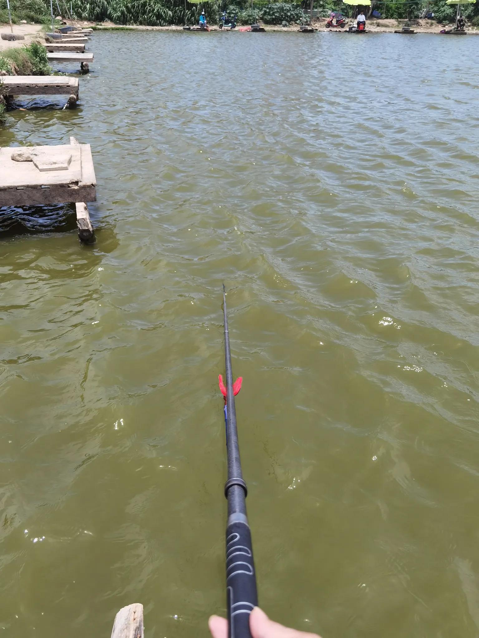 曾大盆快意江湖钓鲤鱼视频,快意江湖曾大盆饵料官方旗舰店