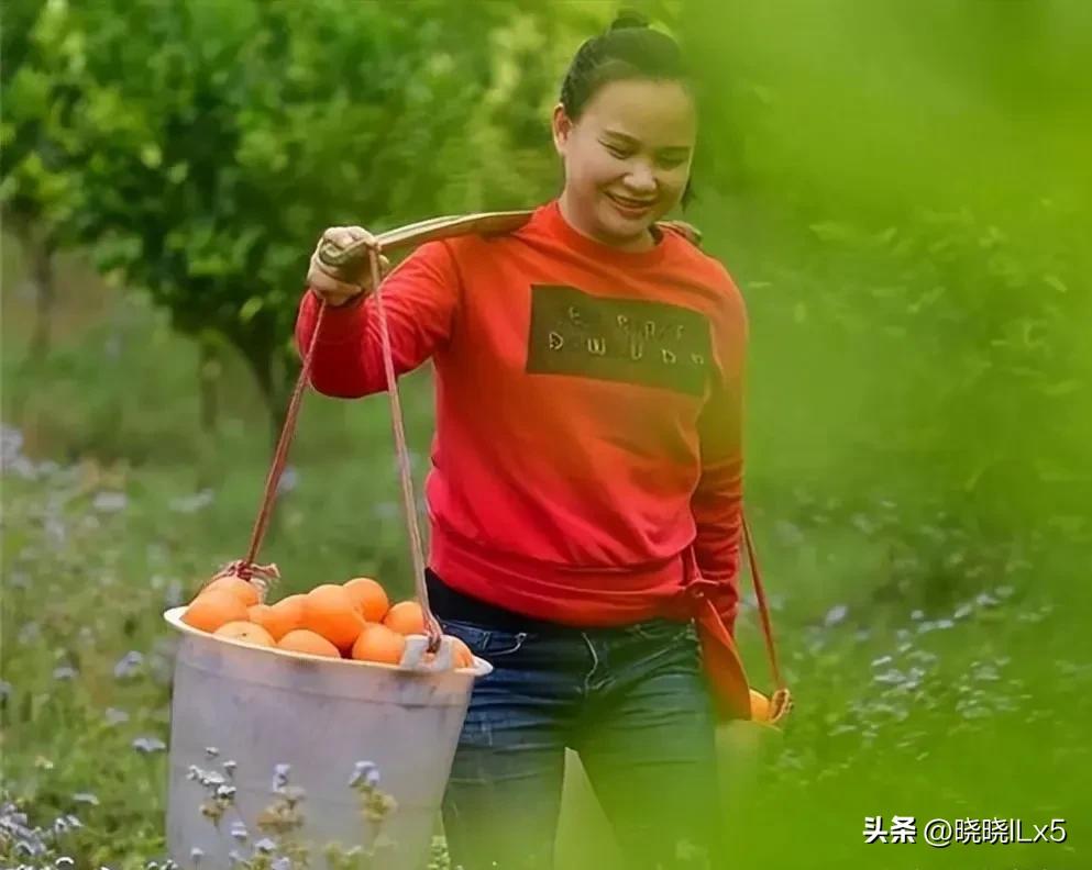 广西果农赚钱吗,广西果农发展