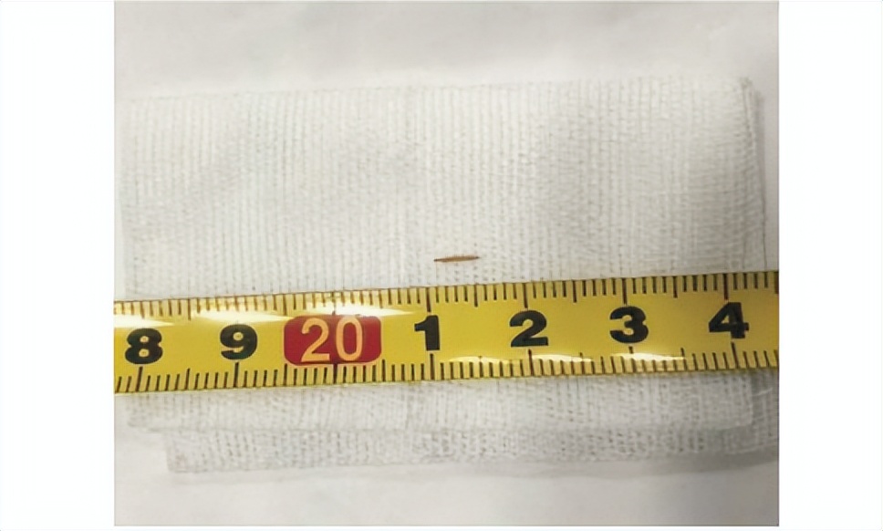 这些东西都能塞进身体里？就离谱