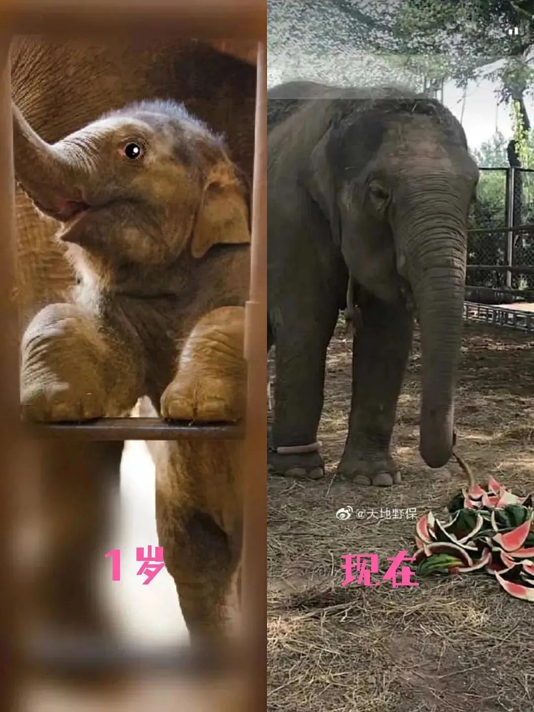 希望你的未来光明坦荡,希望未来的你坦荡且洒脱