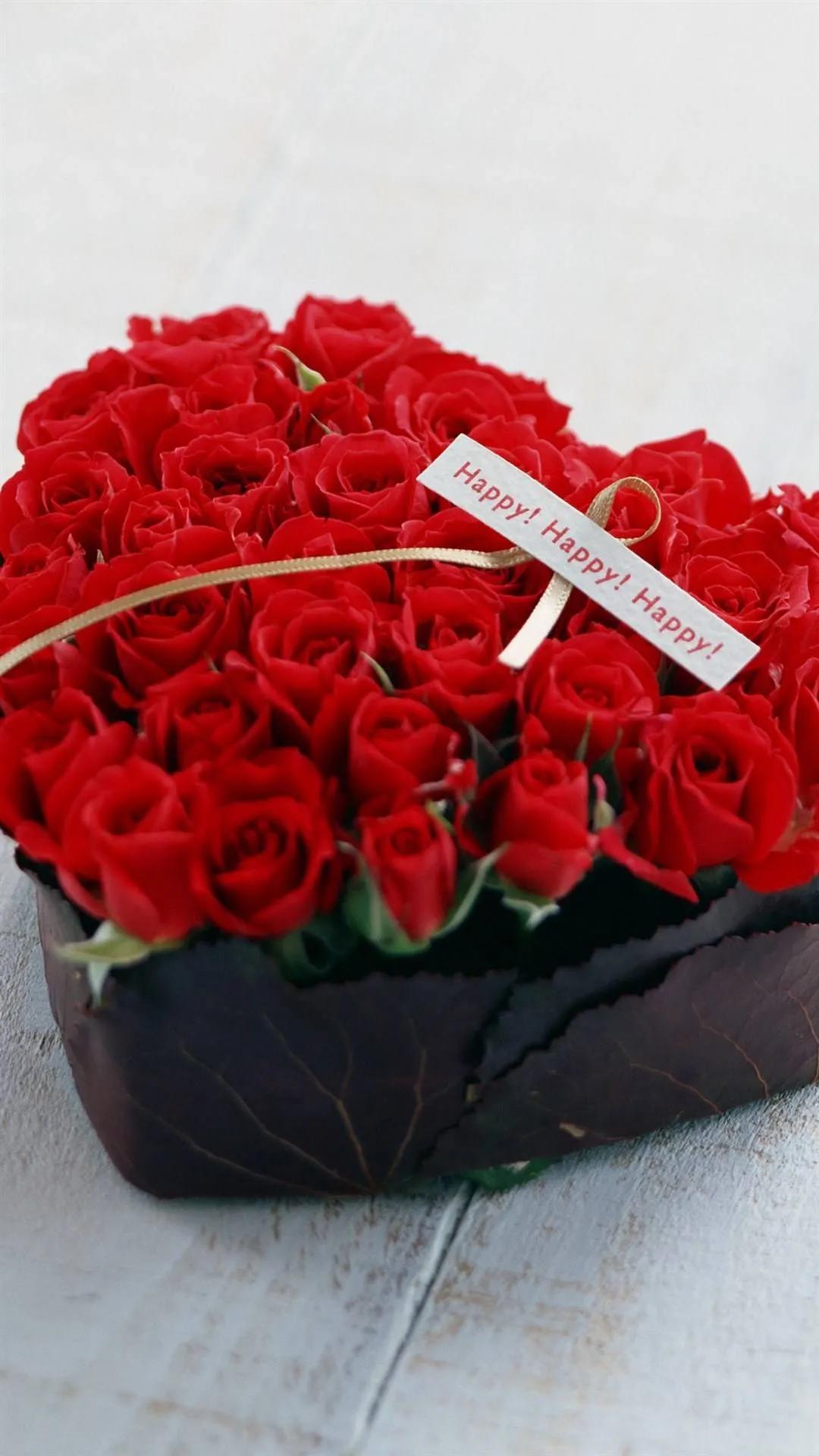 520浪漫玫瑰花壁纸,红玫瑰花壁纸大图