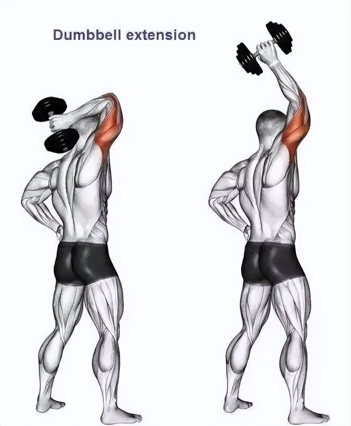 不用去健身房在家照样拥有好身材,不去健身房在家能练出肌肉吗