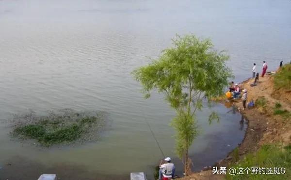 可视探测鱼器好用么,探鱼器对于钓鱼爱好者来说有用吗