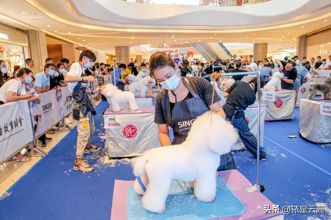 深挖人宠双向友好型空间,观澜湖集团带来哪些值得借鉴的经验?