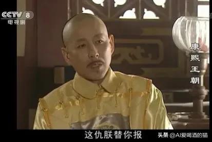 康熙王朝里面康熙皇帝,电视剧康熙王朝中康熙传位十四子