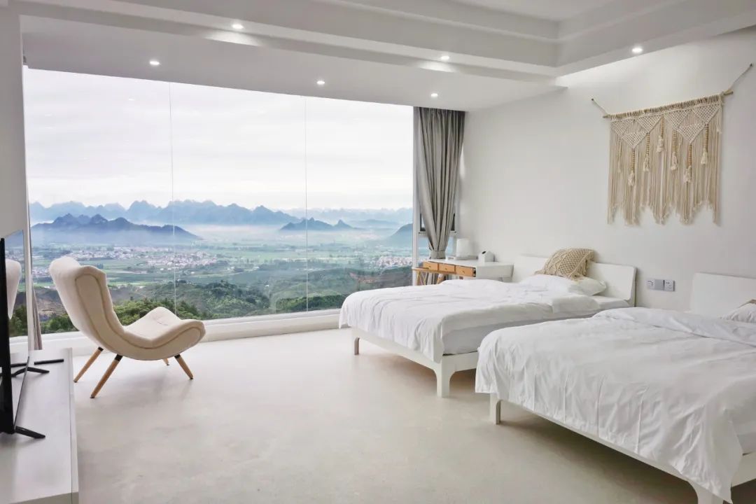 猫咪走太空步原视频最火,猫咪壁虎漫步视频