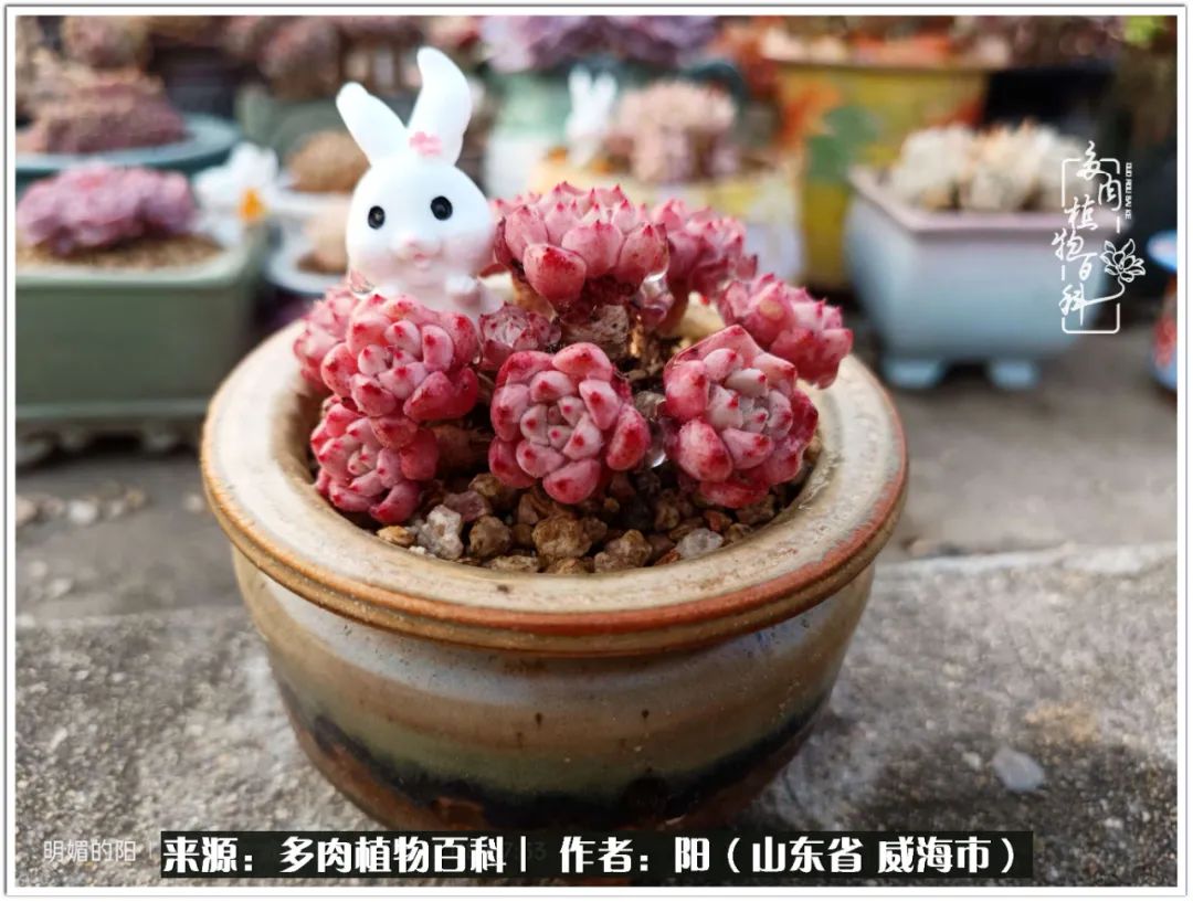 浜洪棿鐑熺伀鑷湁涓囧崈棰滆壊,浜洪棿鐑熺伀鐨嗘槸骞冲嚒棰滆壊