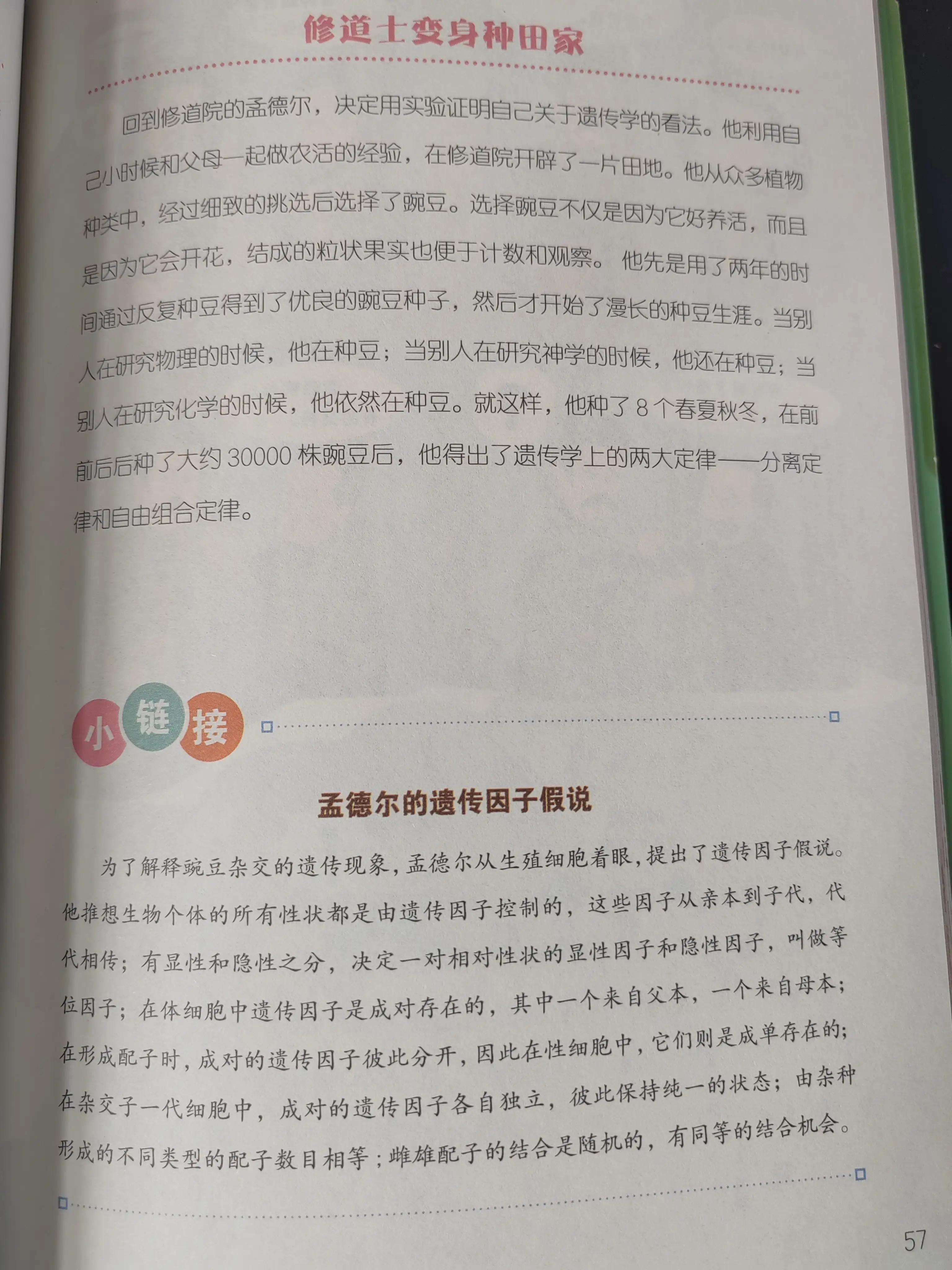 梅花香自苦寒来宝剑锋从磨砺出全文,宝剑锋从磨砺出梅花香自苦寒来图