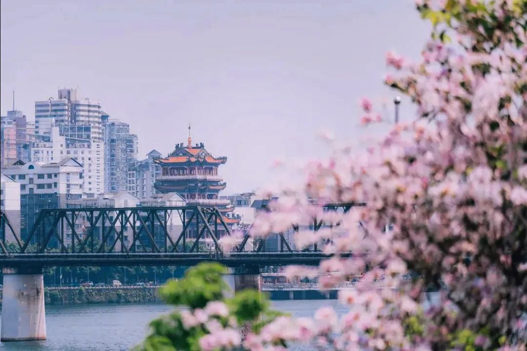 打飞的都要去坐的动车,怎么每站都这么好看