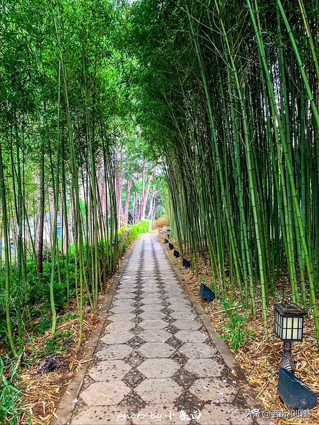 玩转云南自由行,昆明大理丽江6天5晚游多少钱