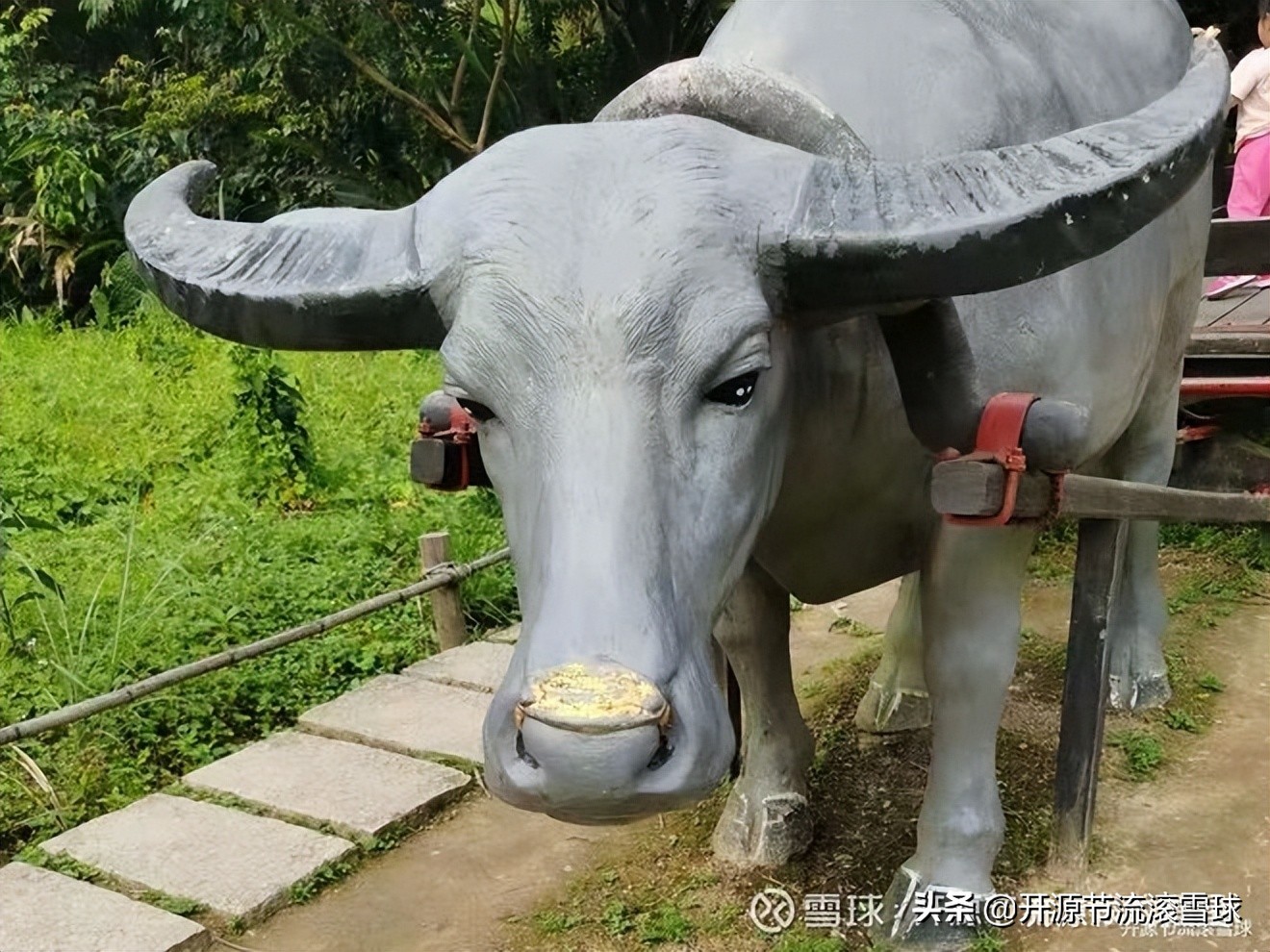 七子之歌原唱小女孩,七子之歌澳门原唱完整版