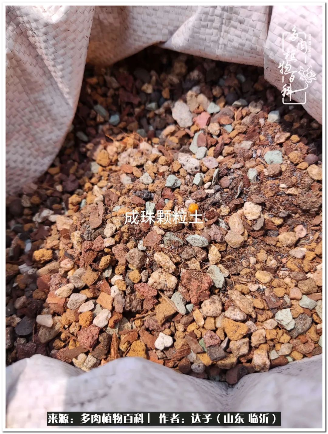 活在当下珍惜眼前平凡的生活,活在当下感慨万千