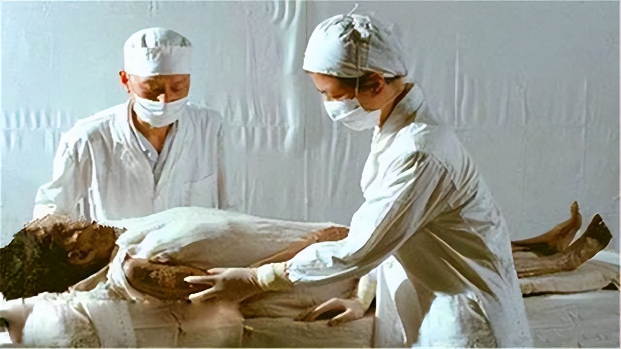 日本当年用什么换辛追夫人头发,日本索要辛追的头发