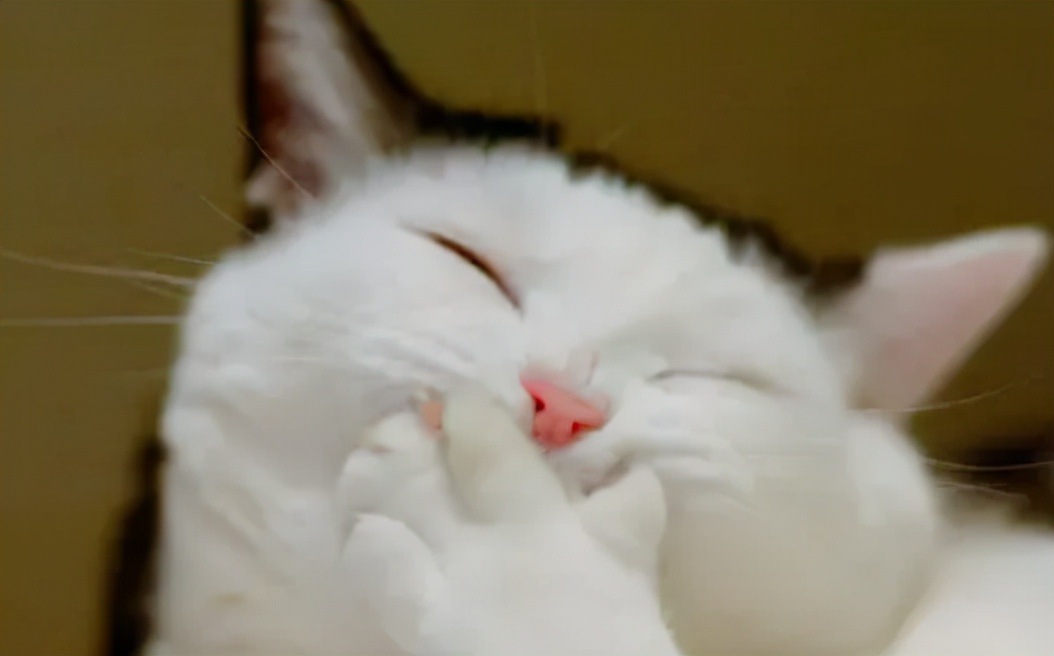 肠肿瘤患者可以吃什么奶粉,肿瘤患者营养品