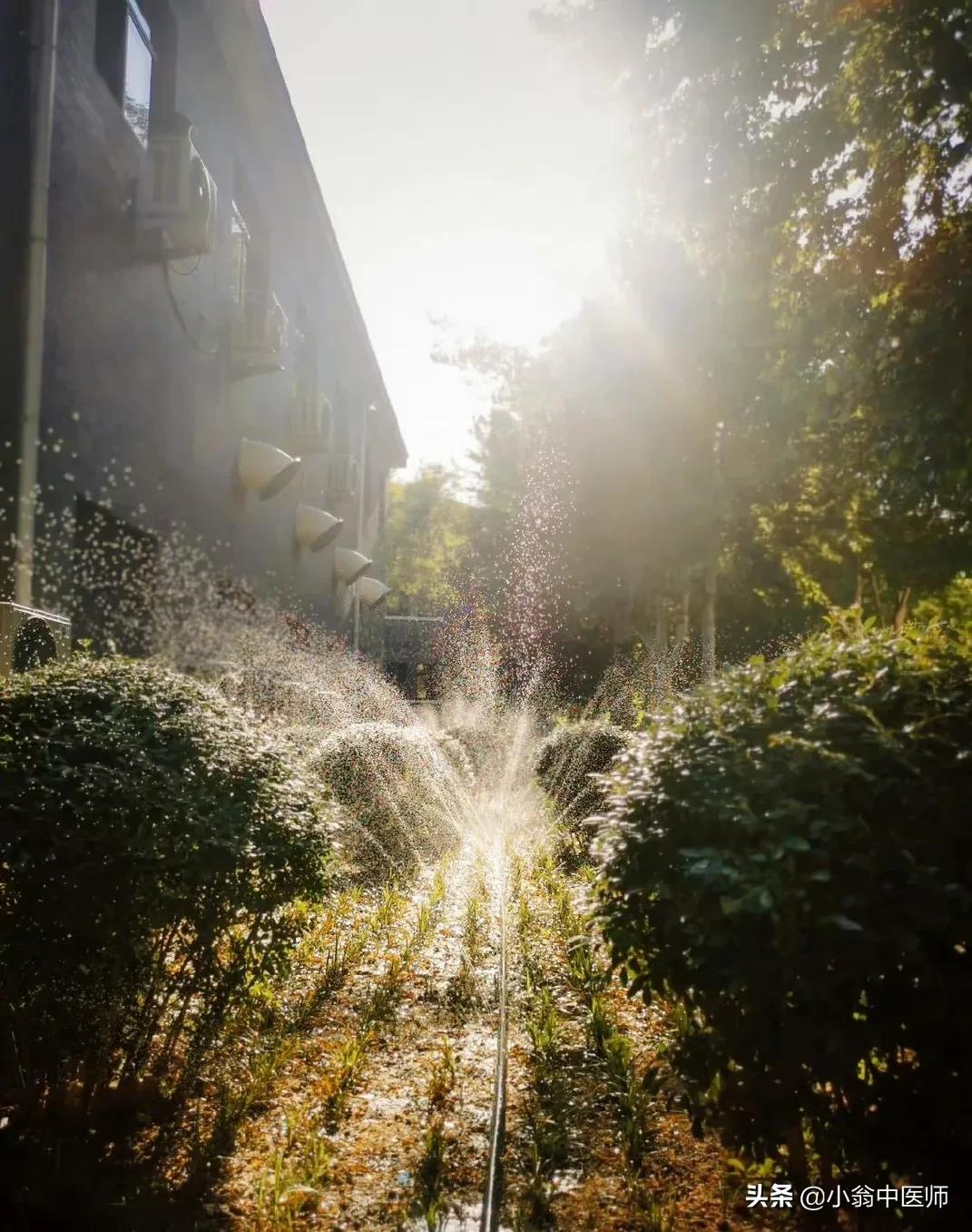 祛湿第一步如何判断身体有湿气,祛湿7大手法