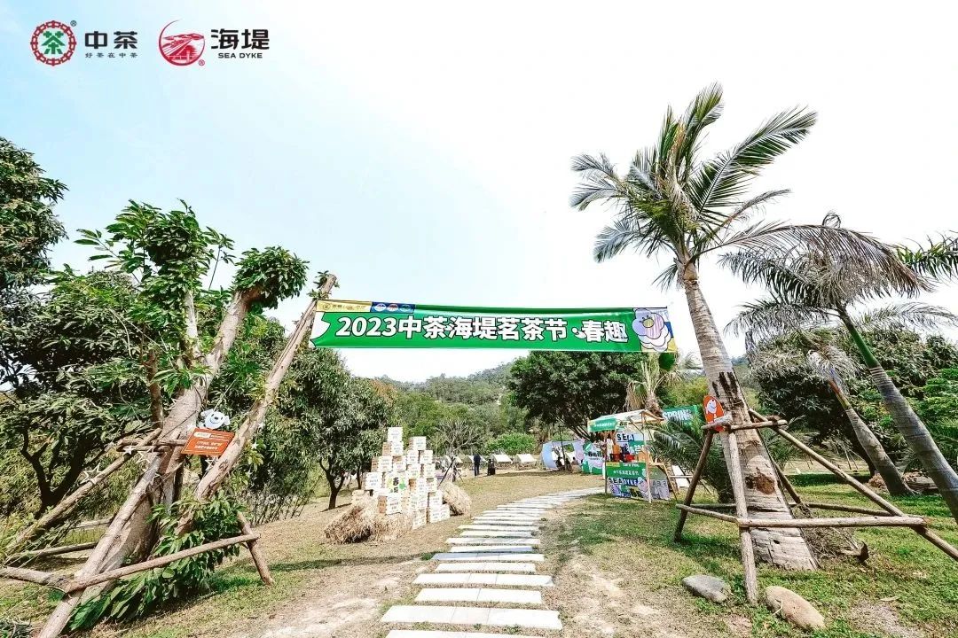 春茶产品营销策略分析,春茶营销