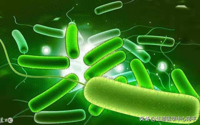 生殖系统感染会导致不孕吗,不孕不育和生殖免疫