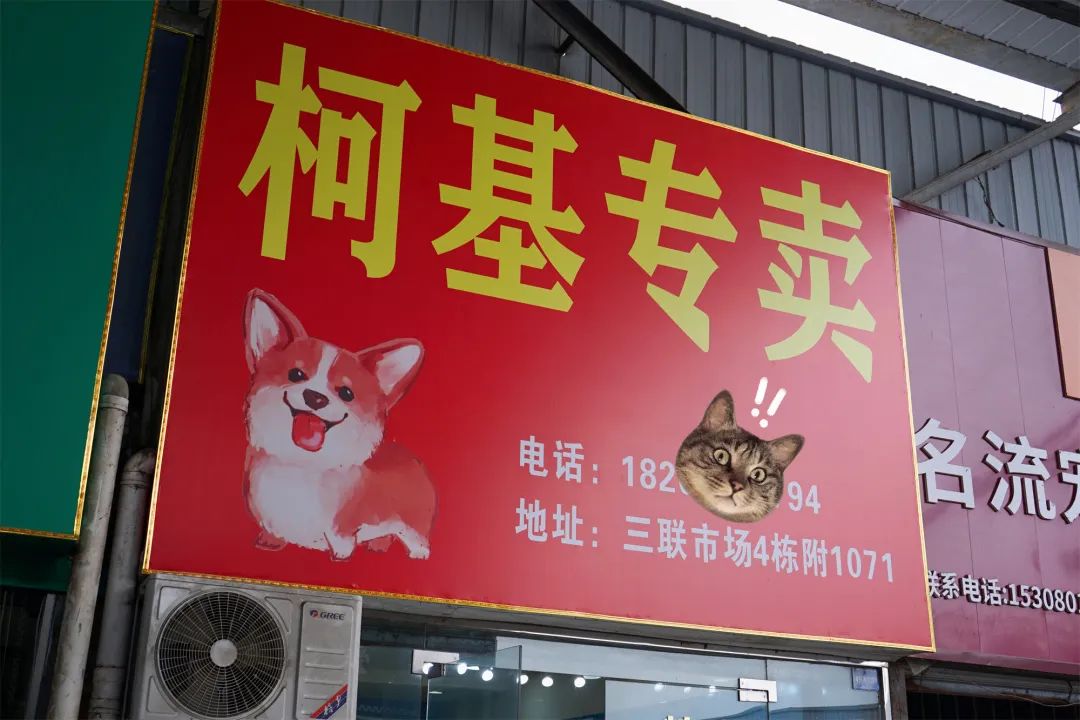 三联鸡鸭市场在哪里,三联市场家禽