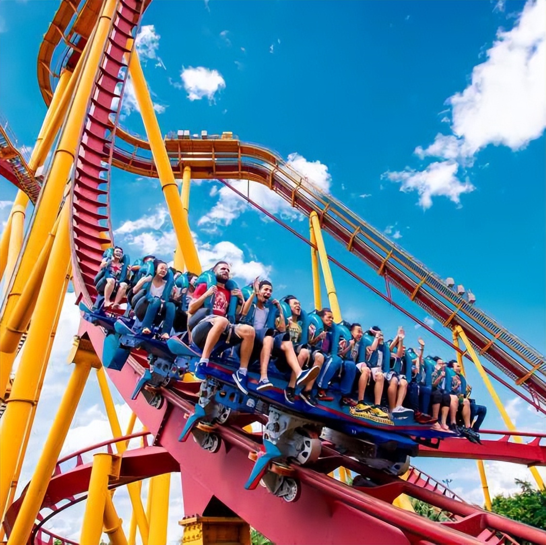 住野趣C位-广州长隆酒店！含高级客房+童趣乐园+广州长隆园区门票