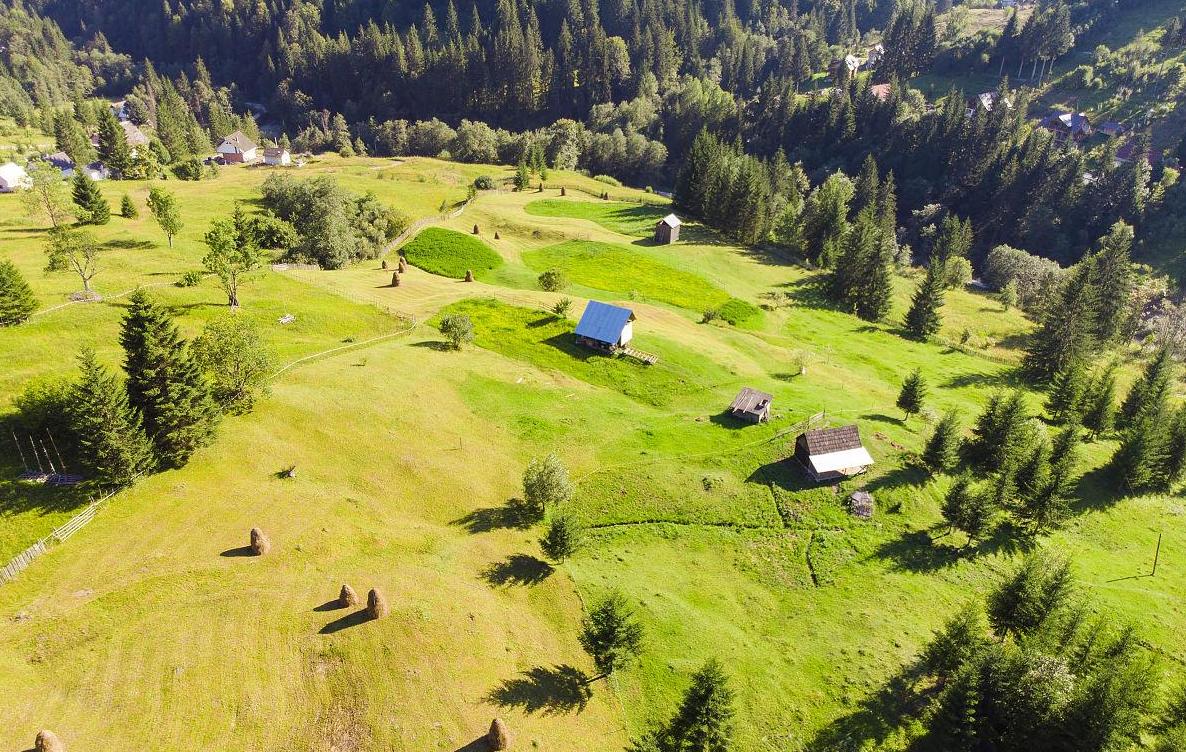 1500年的瓦尔迪维亚战役：欧洲东部政治格局的微妙变迁