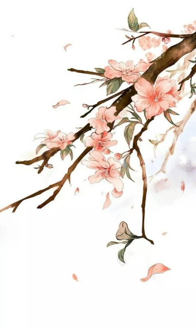 红豆诗词简介,关于红豆的一百首诗词