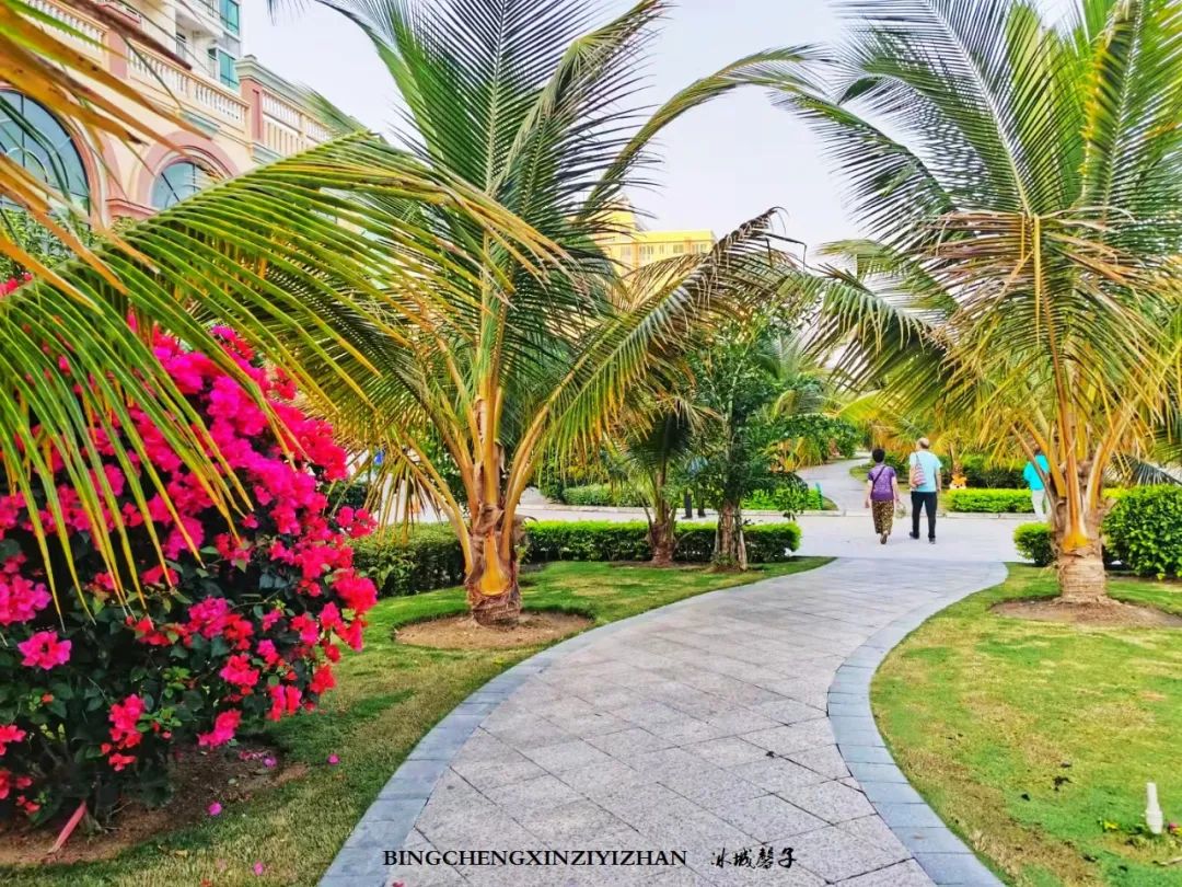 旅居海南,旅居式旅游生活海南