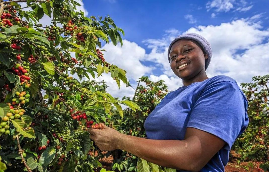 日本为什么把巴西当成第二故乡,日本为什么选择巴西作为第二故乡