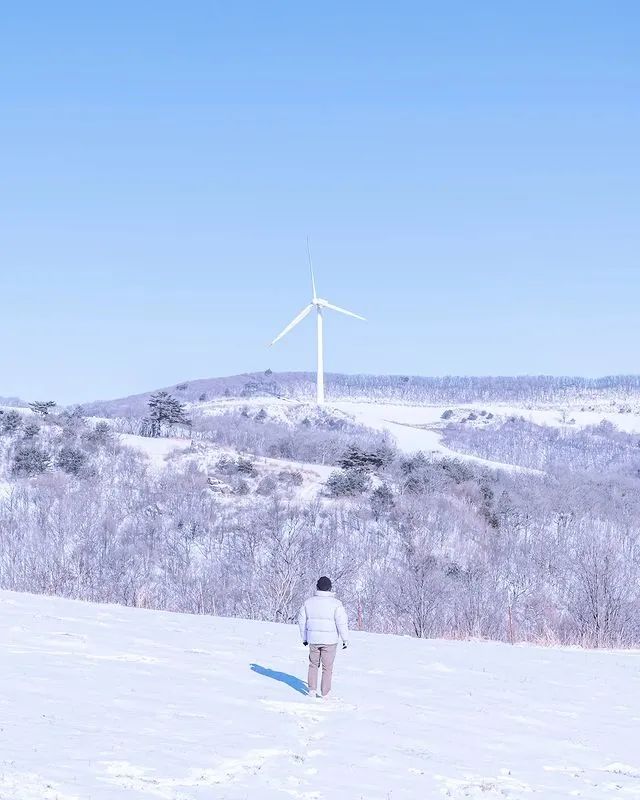 韩国釜山冬天旅游攻略图,韩国适合冬天去的地方有哪些