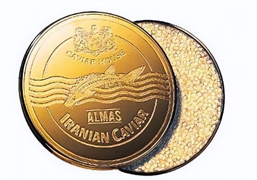 世界上最昂贵的10件物品,关于世界上最贵的十件物品是哪些