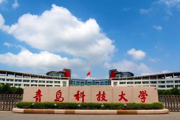 山东省2023艺考专业项目,山东艺术生报考的学校有哪些专业