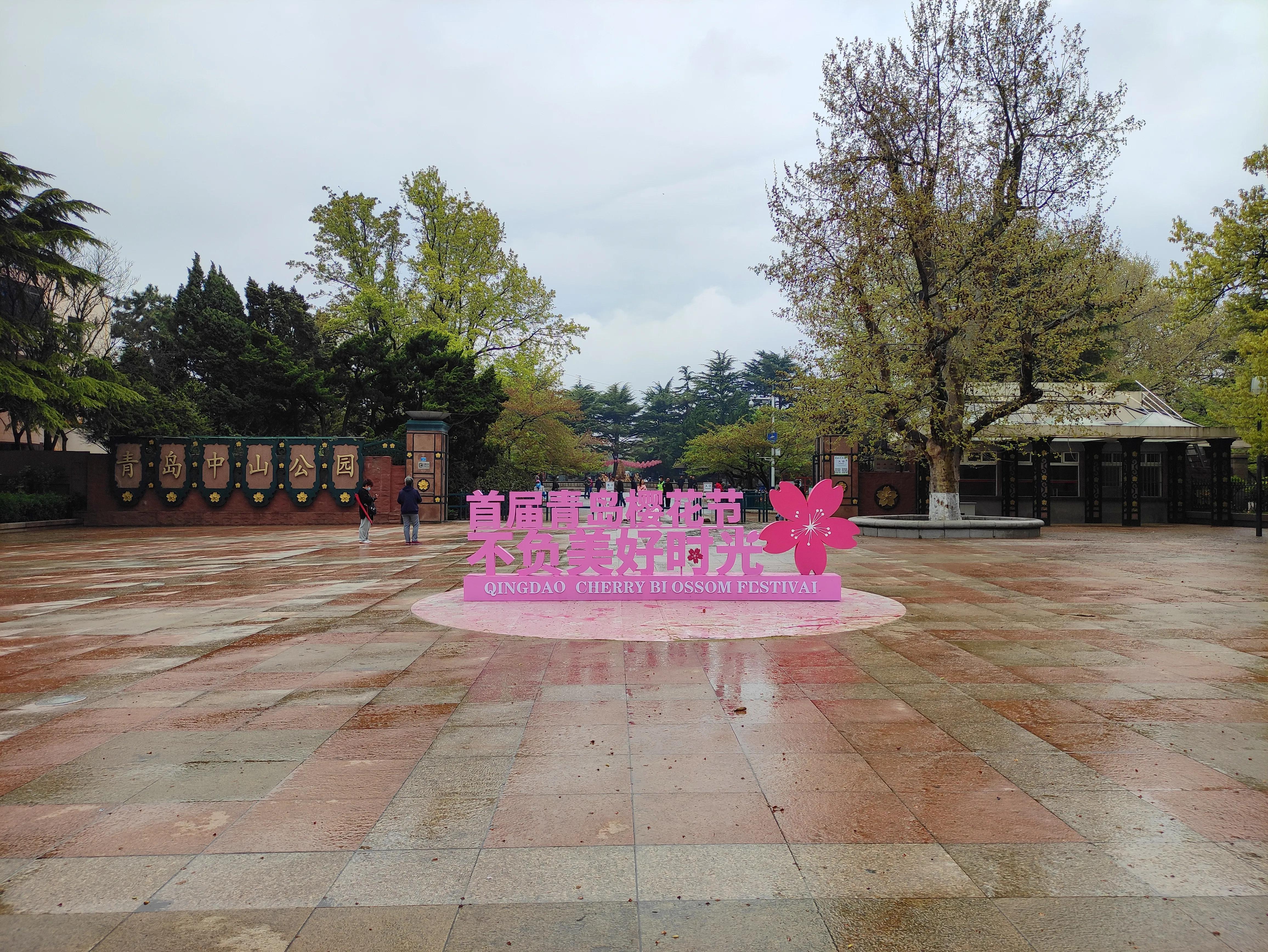 去青岛旅游的感受和收获,在青岛旅游的真实感受