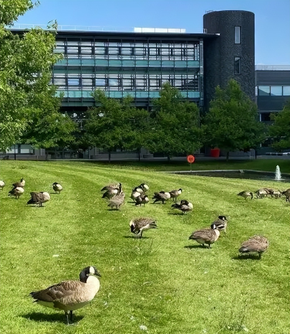 英国华威大学qs世界排名排第几,最新华威大学排名