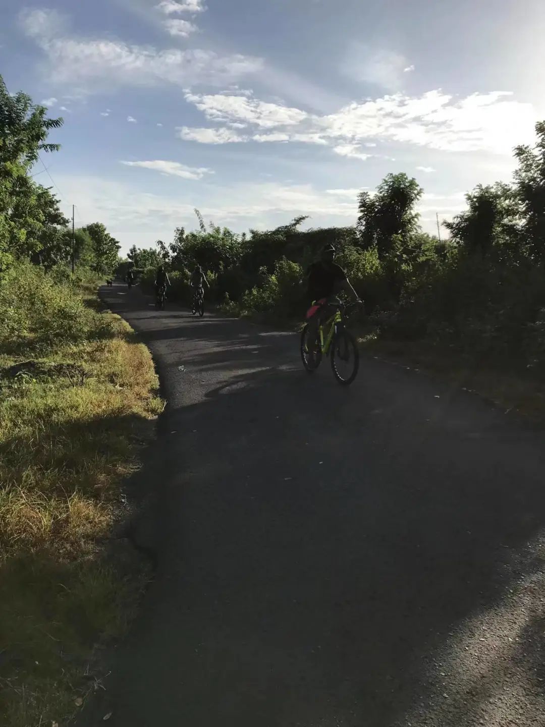 两名中国游客不幸身亡事件,两名中国游客身亡原因